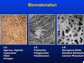 Biomaterialien